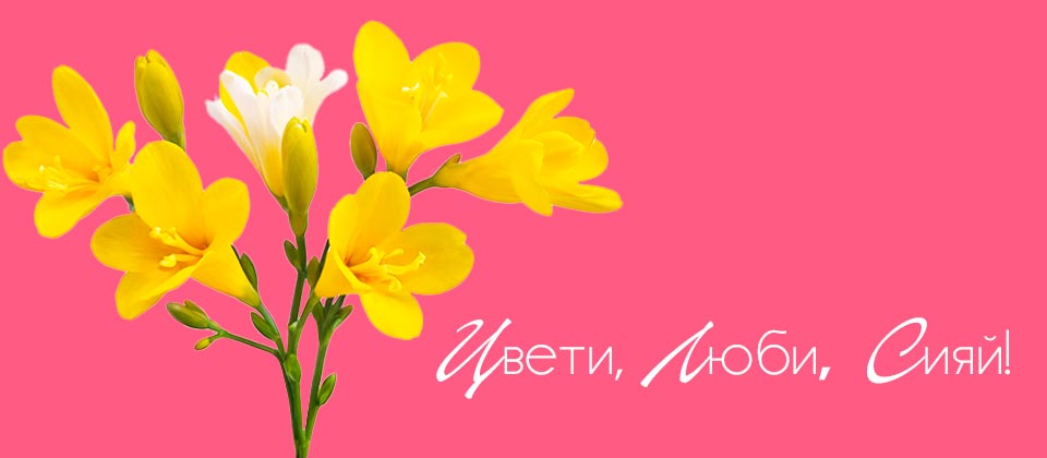 Подарки ко дню 8 Марта в магазинах Kubanstar