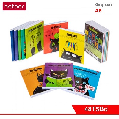 КОМПЛЕКТ Тетрадь предметная 48л Со справочн.инф. 10 шт на скобе Обл. мел.кар.-Черный кот-