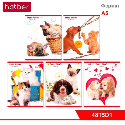 Тетрадь 48л А5ф Класс "D" клетка на скобе Обложка Хром-эрзац Второй Блок серия -Забавные друзья-