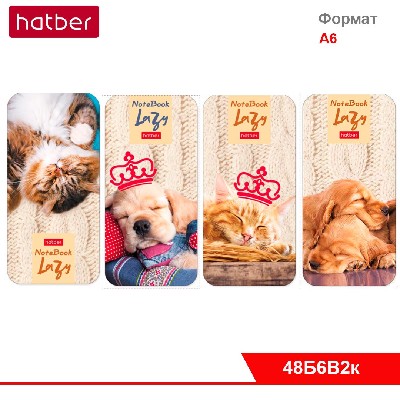 Блокнот 48л А6ф линия обложка мел. бумага, на клею, с фигурной высечкой, серия «Сони-Засони»