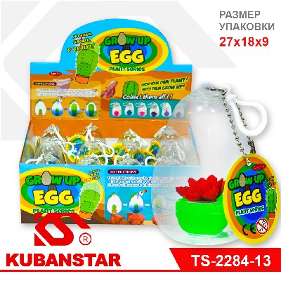 Игрушка в яйце, растущая в воде, цветы кораллы