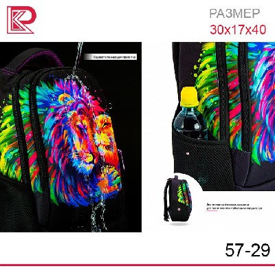 Рюкзак SkyName 57-29 + пенал