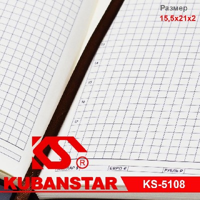 Ежедневник недатированный с ручкой