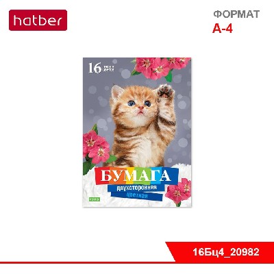 Набор бумаги цветной Двухсторонней 16л 16 цв. А4ф Обл. мел.картон на скобе серия  -КОТЁНОК- "ECO"