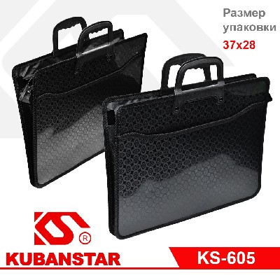 Папка для бумаг 2 отдела, 2 кармана, с ручкой, цв. черный