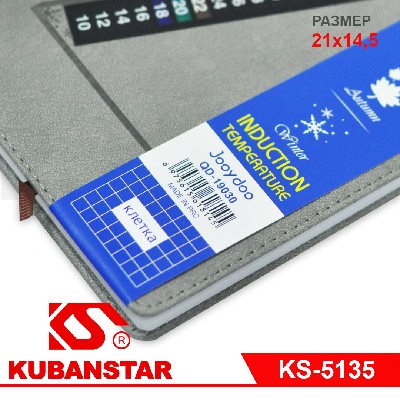 Ежедневник недатированный140л с термометром. 21х14,5