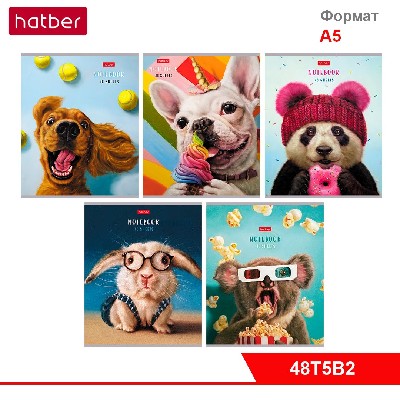 Тетрадь 48л А5ф ЛИНИЯ на скобе 5 диз.в блоке скругл.углы серия -Узнай себя!-(Lucia Heffernan)