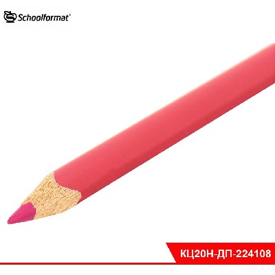 Набор цветн. каранд Schoolformat ДИКАЯ ПЛАНЕТА 20 цв. дерев. трехгран. корп. карт. уп. супермягк. гр