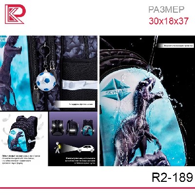Рюкзак SkyName R2-189 + брелок мячик
