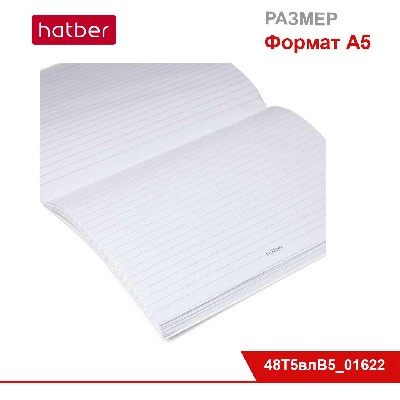 Тетрадь 48л А5ф ЛИНИЯ на скобе мат. ламин. выб лак серия -INSIDE-