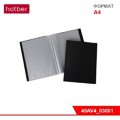 Папка Пластиковая Hatber, 40 вкладышей, формат А4, корешок 21 мм, LINE, 500 мкм «Чёрная»