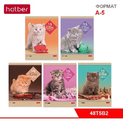Тетрадь 48л А5ф ЛИНИЯ на скобе 5 диз.в блоке скругл.углы серия -Котята-