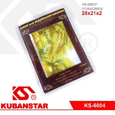 Набор для творчества "ВЫШИВКА БИСЕРОМ" 25*19 (20 ВИДОВ)