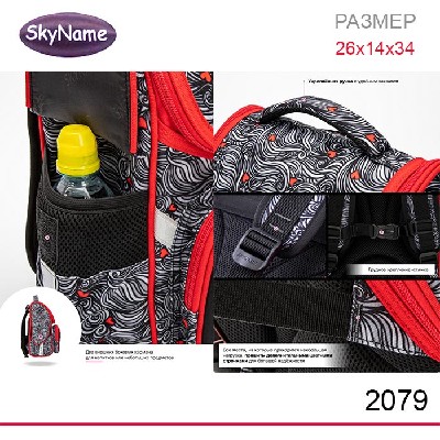 Ранец SkyName 2079 + брелок мишка