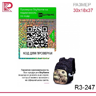 Рюкзак SkyName R3-247 + брелок мячик