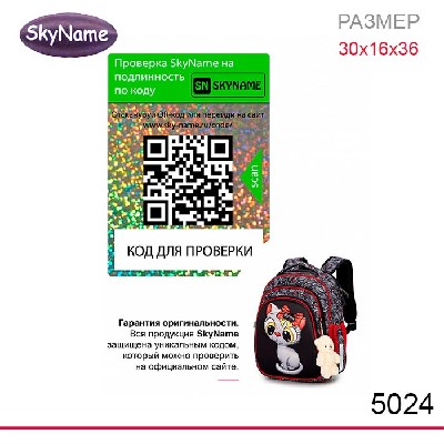 Ранец SkyName 5024 + брелок мишка