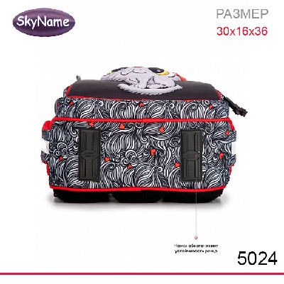 Ранец SkyName 5024 + брелок мишка