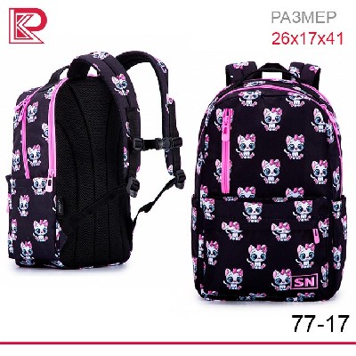 Рюкзак SkyName 77-17