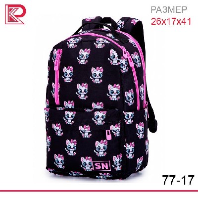 Рюкзак SkyName 77-17