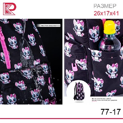 Рюкзак SkyName 77-17