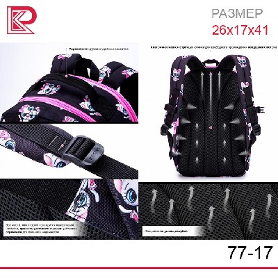 Рюкзак SkyName 77-17