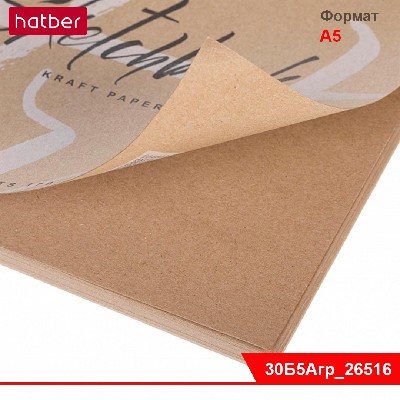 Блокнот SketchBook 30л А5ф КРАФТ без линовки жесткая подложка на гребне-Арт-