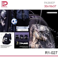 Рюкзак SkyName R1-027 + брелок мячик