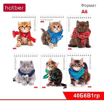Блокнот 40 л, А6ф, клетка, обл. мелован. картон, УФ-лак, на гребне, сер. «Милые котята»