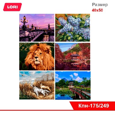 Картина по номерам 40х50см в ассортименте 25 видов