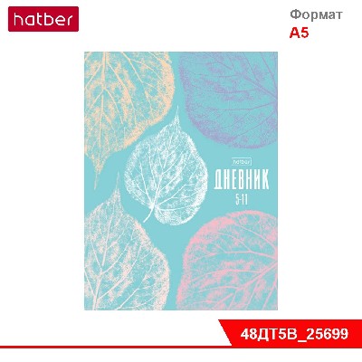 Дневник для 5-11кл. 48л А5ф тв.переплет карты на форзацах Со справ.инф мат.ламин.-SOUL-Душа-