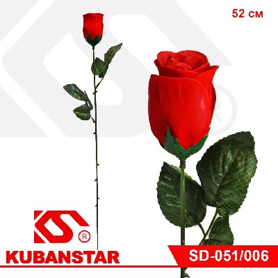 Цветок РОЗЫ БАРХАТНОЙ