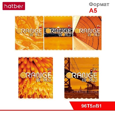 Тетрадь 96л А5ф клетка 65г/кв.м на скобе мат.ламин. серия -Оранжевый мир-