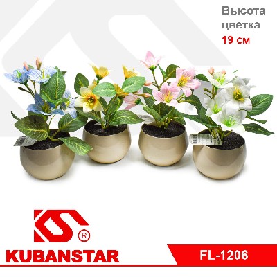 Букет в горшочке 5 цветов
