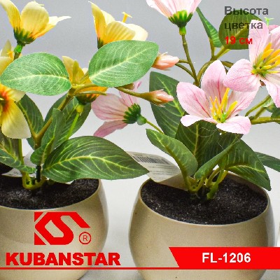 Букет в горшочке 5 цветов