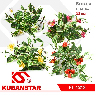 Цветок интерьерный