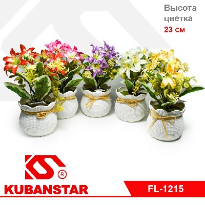 Букет цветов в горшочке 5 цветов