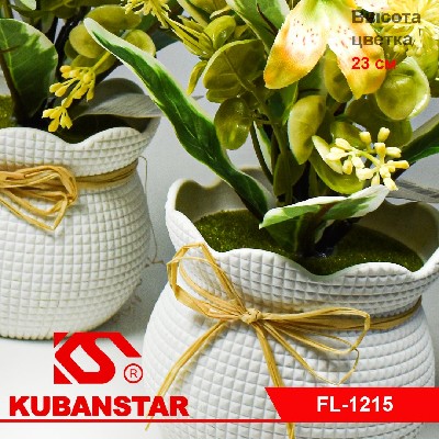 Букет цветов в горшочке 5 цветов