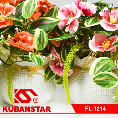 Букет цветов с традисканцией в горшочке 5 цветов