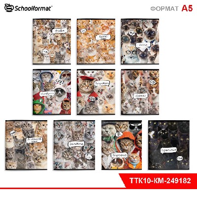 Комплект тетрадей 48 л. А5 кл./лин. скреп. Schoolformat КОШАЧИЙ МИР мел. карт. запечатка форзаца