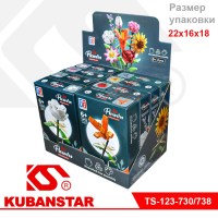Ck000003764_1