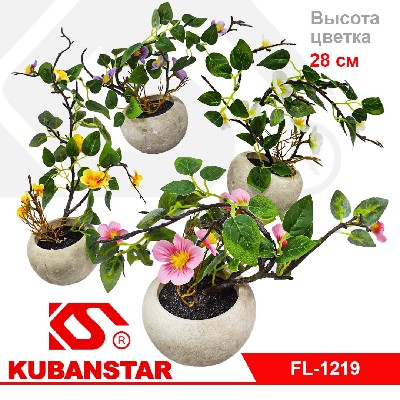 Цветок в керамическом горшочке с камнями