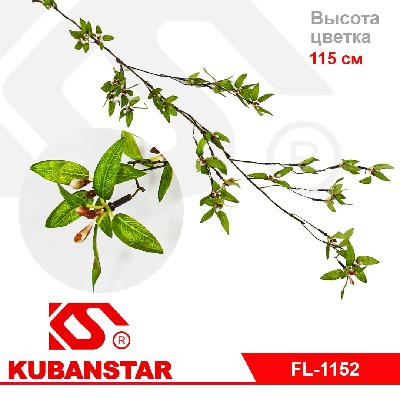 Ветка граната для декора