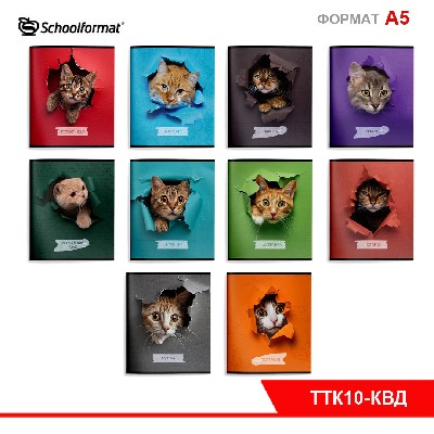 Комплект тетрадей 48 л. А5 кл./лин. скреп. Schoolformat ЛЮБОПЫТНЫЙ КОТИК мел. карт., ВД-лак