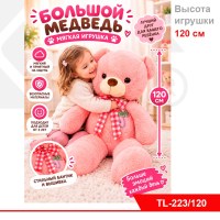Ck000004202_2