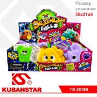 Ck000004271_1