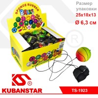 Ck000004295_1