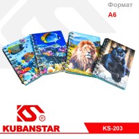 Ck000004327_1