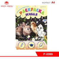 Ck000004359_1
