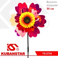 Ck000004420_1