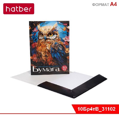 Набор бумаги для рисования и художественных работ 10л А4ф 120г/кв.м в папке тиснение-Мудрая сова-